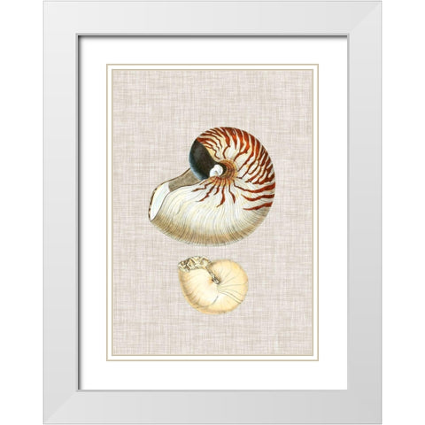 Antique Shells on Linen VII White Modern Wood Framed Art Print with Double Matting by Vision Studio
