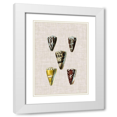 Antique Shells on Linen VIII White Modern Wood Framed Art Print with Double Matting by Vision Studio