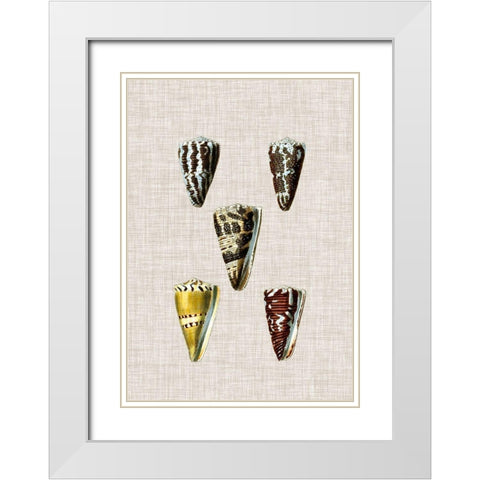 Antique Shells on Linen VIII White Modern Wood Framed Art Print with Double Matting by Vision Studio