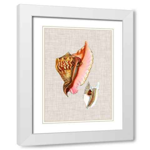 Antique Shells on Linen IX White Modern Wood Framed Art Print with Double Matting by Vision Studio