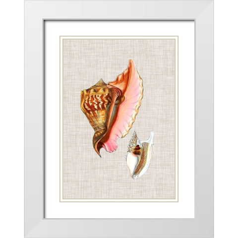 Antique Shells on Linen IX White Modern Wood Framed Art Print with Double Matting by Vision Studio