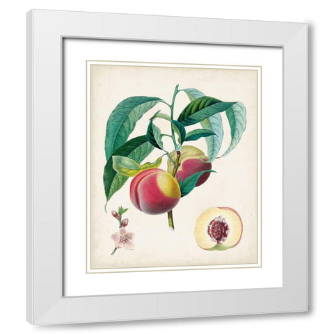Belle Bauce White Modern Wood Framed Art Print with Double Matting by Poiteau, Pierre Antoine
