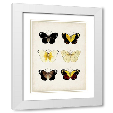 Vintage Butterflies I White Modern Wood Framed Art Print with Double Matting by Vision Studio