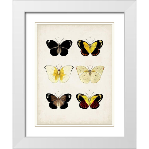 Vintage Butterflies I White Modern Wood Framed Art Print with Double Matting by Vision Studio