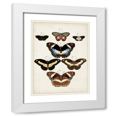 Vintage Butterflies II White Modern Wood Framed Art Print with Double Matting by Vision Studio