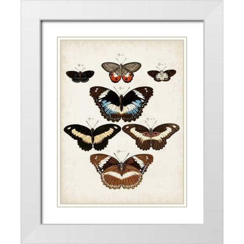 Vintage Butterflies II White Modern Wood Framed Art Print with Double Matting by Vision Studio