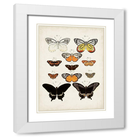 Vintage Butterflies III White Modern Wood Framed Art Print with Double Matting by Vision Studio