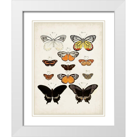 Vintage Butterflies III White Modern Wood Framed Art Print with Double Matting by Vision Studio