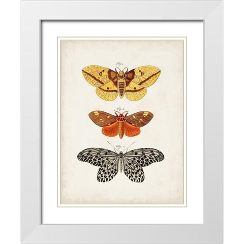 Vintage Butterflies IV White Modern Wood Framed Art Print with Double Matting by Vision Studio