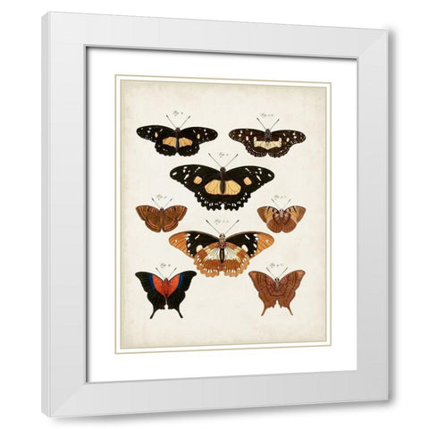 Vintage Butterflies V White Modern Wood Framed Art Print with Double Matting by Vision Studio