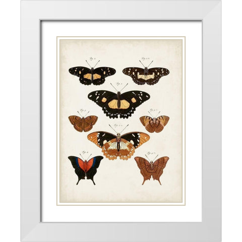 Vintage Butterflies V White Modern Wood Framed Art Print with Double Matting by Vision Studio