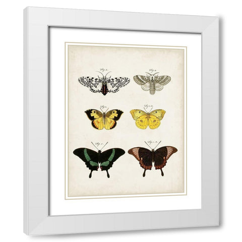 Vintage Butterflies VI White Modern Wood Framed Art Print with Double Matting by Vision Studio