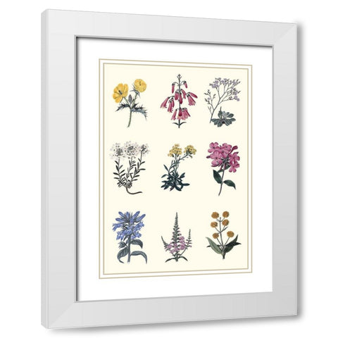 Antique Floral Chart White Modern Wood Framed Art Print with Double Matting by Vision Studio