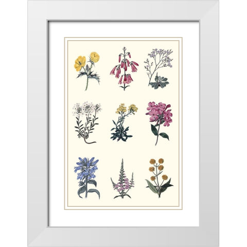 Antique Floral Chart White Modern Wood Framed Art Print with Double Matting by Vision Studio