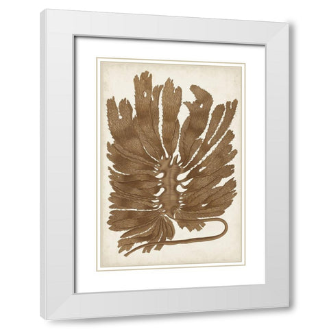 Sepia Seaweed I White Modern Wood Framed Art Print with Double Matting by Vision Studio
