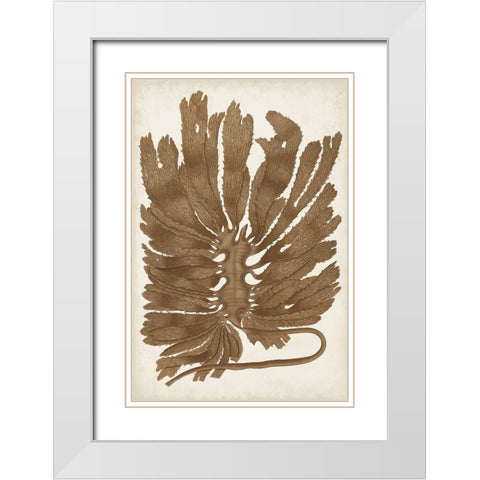 Sepia Seaweed I White Modern Wood Framed Art Print with Double Matting by Vision Studio