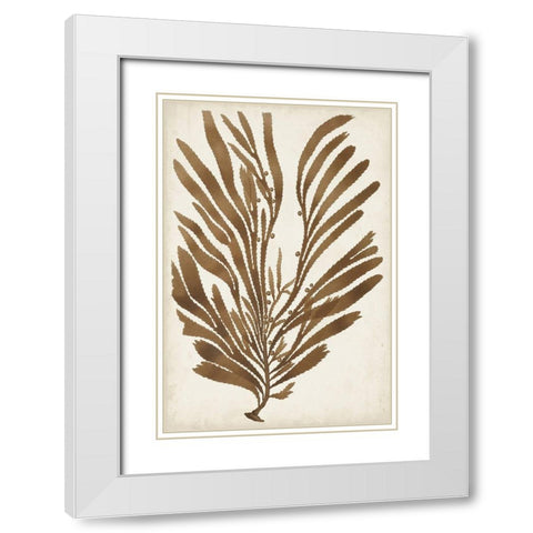 Sepia Seaweed II White Modern Wood Framed Art Print with Double Matting by Vision Studio