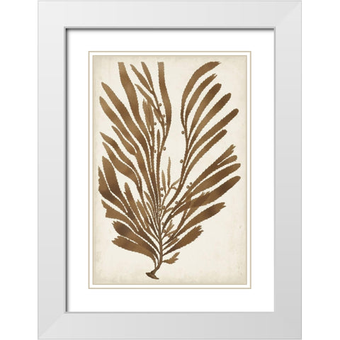 Sepia Seaweed II White Modern Wood Framed Art Print with Double Matting by Vision Studio