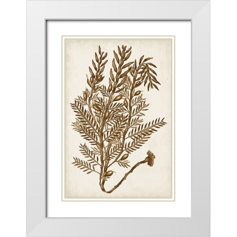 Sepia Seaweed IV White Modern Wood Framed Art Print with Double Matting by Vision Studio