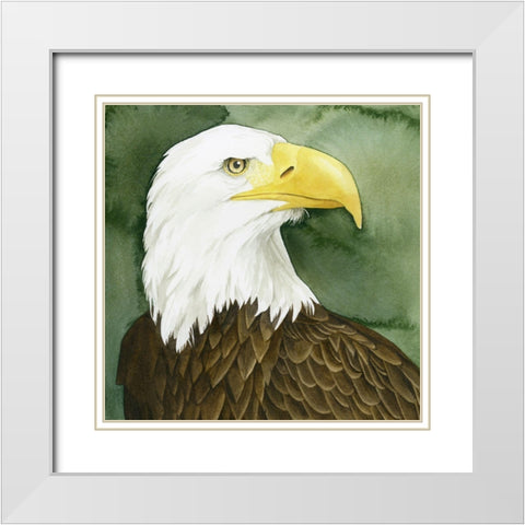 Bald Eagle Stare I White Modern Wood Framed Art Print with Double Matting by Popp, Grace