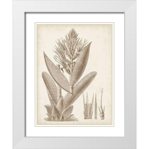 Sepia Exotic Plants II White Modern Wood Framed Art Print with Double Matting by Vision Studio