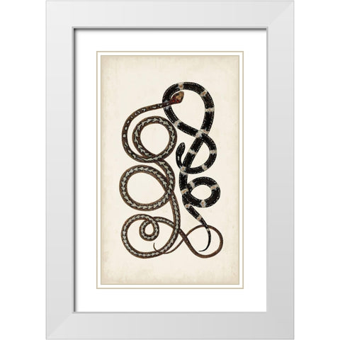 Antique Snakes II White Modern Wood Framed Art Print with Double Matting by Vision Studio