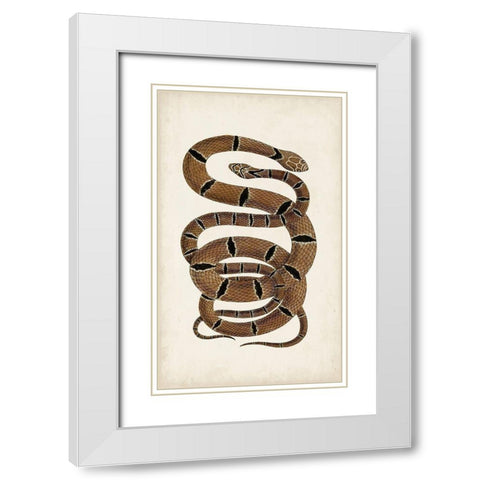 Antique Snakes III White Modern Wood Framed Art Print with Double Matting by Vision Studio