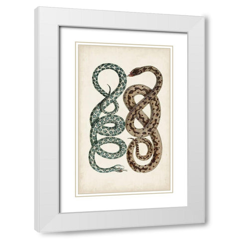 Antique Snakes IV White Modern Wood Framed Art Print with Double Matting by Vision Studio