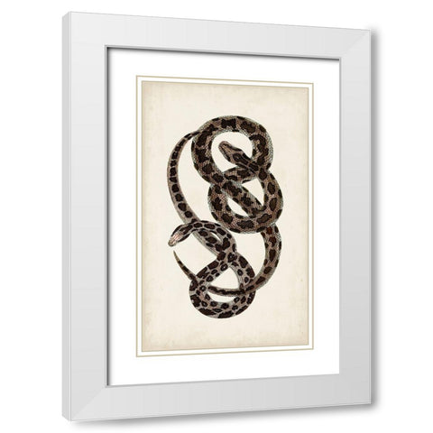 Antique Snakes V White Modern Wood Framed Art Print with Double Matting by Vision Studio