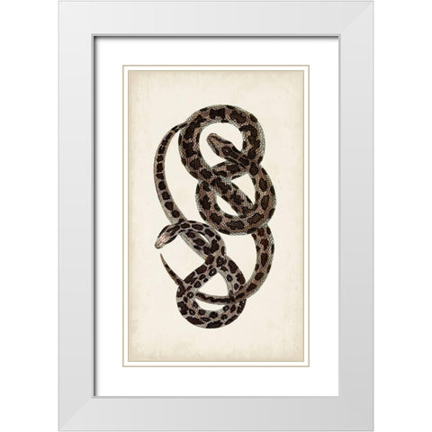 Antique Snakes V White Modern Wood Framed Art Print with Double Matting by Vision Studio