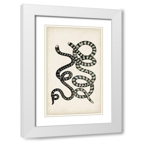 Antique Snakes VI White Modern Wood Framed Art Print with Double Matting by Vision Studio