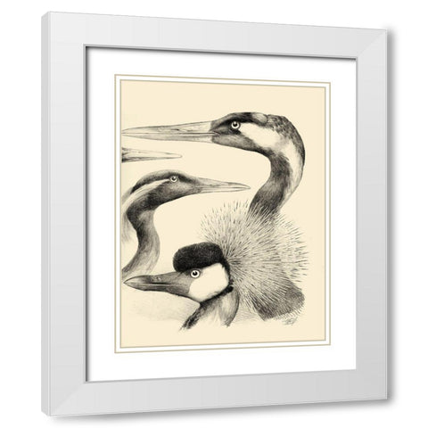 Waterbird Sketchbook I White Modern Wood Framed Art Print with Double Matting by Vision Studio