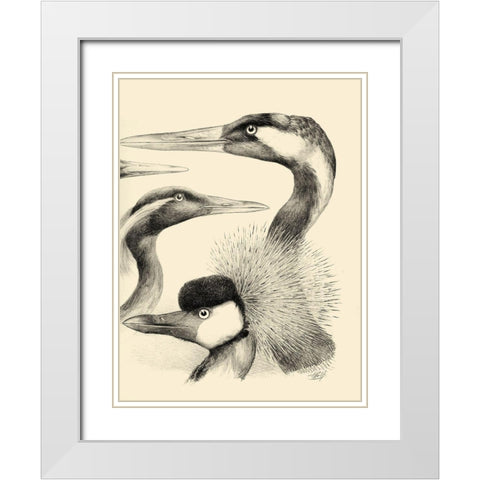 Waterbird Sketchbook I White Modern Wood Framed Art Print with Double Matting by Vision Studio