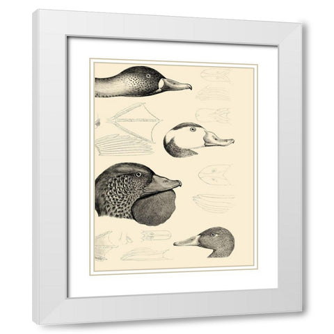 Waterbird Sketchbook IV White Modern Wood Framed Art Print with Double Matting by Vision Studio