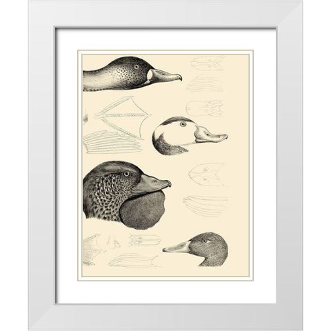 Waterbird Sketchbook IV White Modern Wood Framed Art Print with Double Matting by Vision Studio