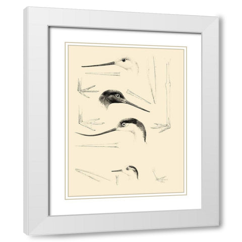 Waterbird Sketchbook V White Modern Wood Framed Art Print with Double Matting by Vision Studio