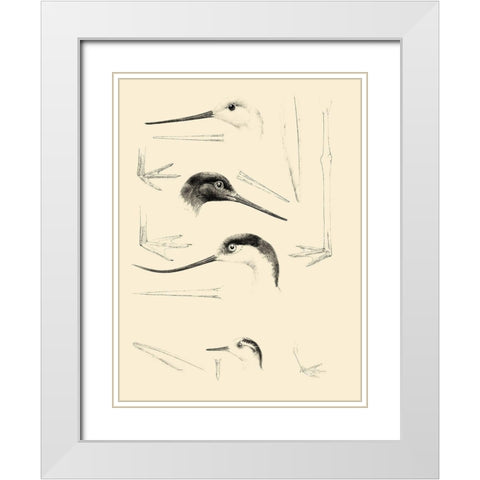 Waterbird Sketchbook V White Modern Wood Framed Art Print with Double Matting by Vision Studio