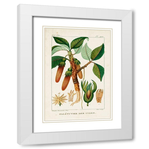 Turpin Foliage and Fruit I White Modern Wood Framed Art Print with Double Matting by Turpin