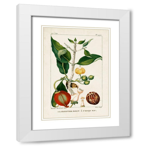 Turpin Foliage and Fruit III White Modern Wood Framed Art Print with Double Matting by Turpin