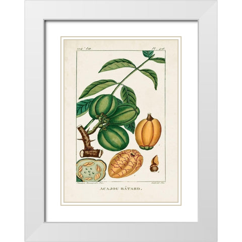 Turpin Foliage and Fruit IV White Modern Wood Framed Art Print with Double Matting by Turpin