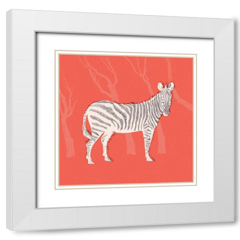 Plains Zebra I White Modern Wood Framed Art Print with Double Matting by Green, Jacob