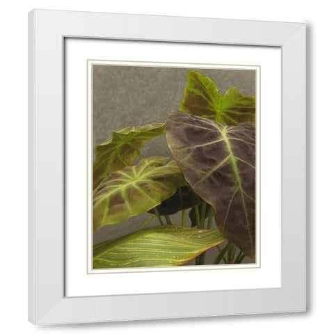 Non-Embellished Dramatic Leaves I White Modern Wood Framed Art Print with Double Matting by Zarris, Charliklia