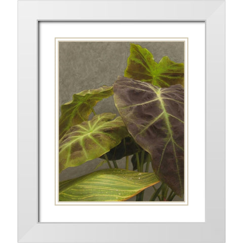 Non-Embellished Dramatic Leaves I White Modern Wood Framed Art Print with Double Matting by Zarris, Charliklia