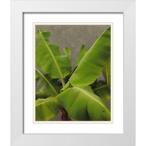 Non-Embellished Dramatic Leaves III White Modern Wood Framed Art Print with Double Matting by Zarris, Charliklia