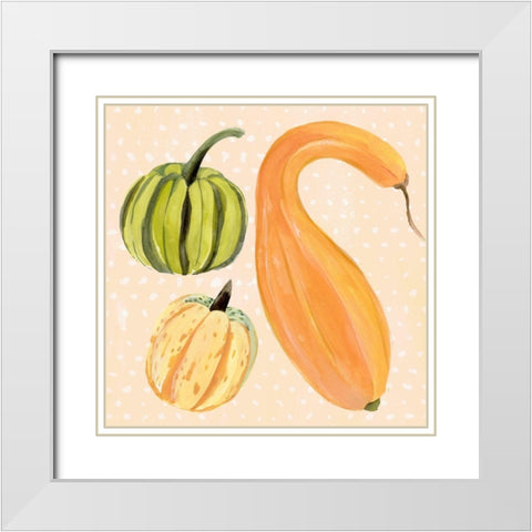 Decorative Gourd I White Modern Wood Framed Art Print with Double Matting by Warren, Annie