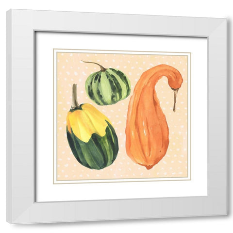 Decorative Gourd IV White Modern Wood Framed Art Print with Double Matting by Warren, Annie