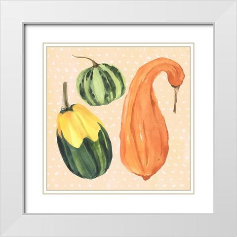 Decorative Gourd IV White Modern Wood Framed Art Print with Double Matting by Warren, Annie