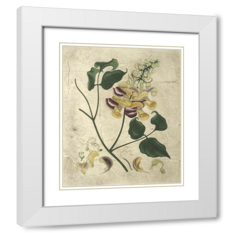 Aubergine Florals I White Modern Wood Framed Art Print with Double Matting by Vision Studio