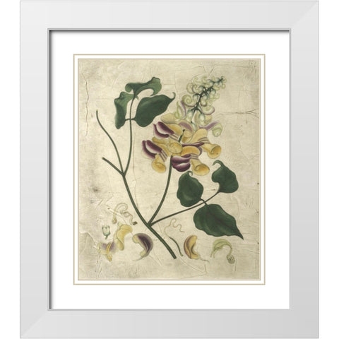 Aubergine Florals I White Modern Wood Framed Art Print with Double Matting by Vision Studio