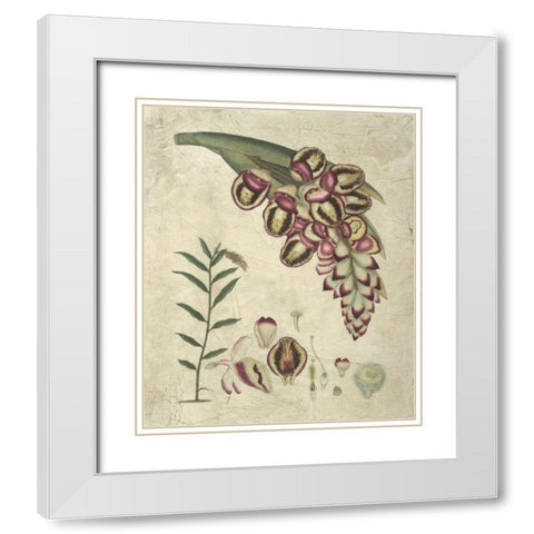 Aubergine Florals II White Modern Wood Framed Art Print with Double Matting by Vision Studio